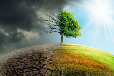 İklim Değişikliği - Ekoloji ve Çevre Politikaları kategorisi için resim
